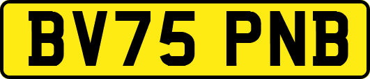 BV75PNB