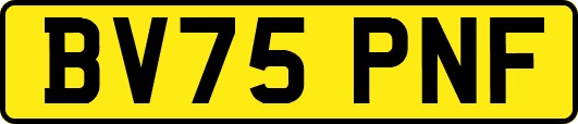 BV75PNF