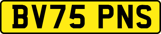 BV75PNS