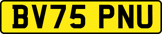 BV75PNU
