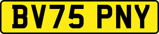 BV75PNY