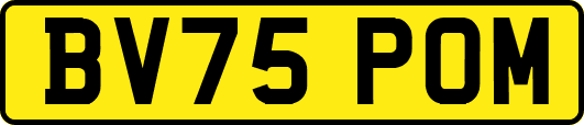 BV75POM
