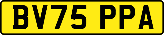 BV75PPA