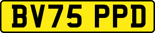 BV75PPD