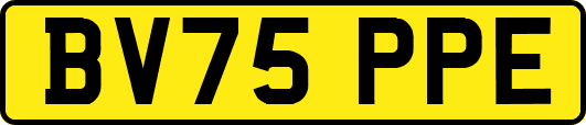 BV75PPE