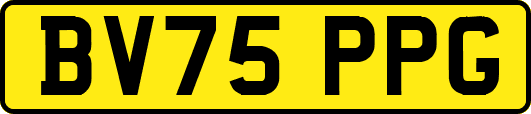 BV75PPG