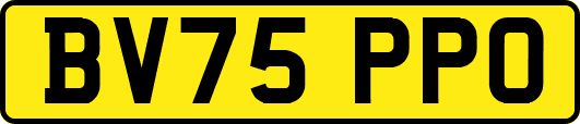 BV75PPO