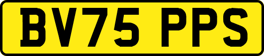 BV75PPS