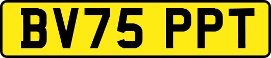 BV75PPT
