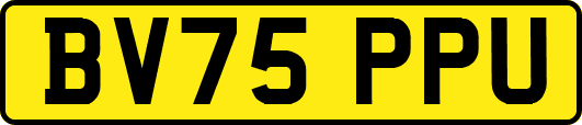 BV75PPU
