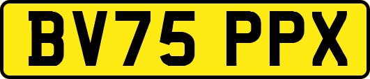 BV75PPX