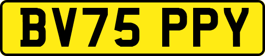 BV75PPY