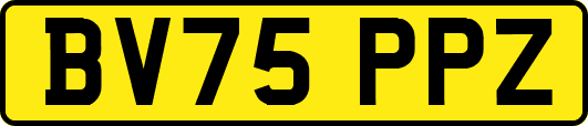 BV75PPZ