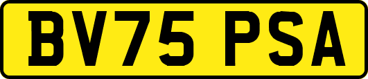 BV75PSA