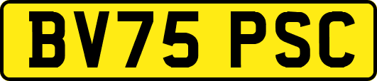 BV75PSC