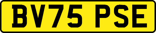 BV75PSE