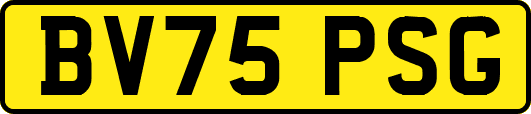 BV75PSG