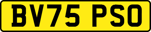 BV75PSO