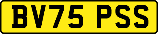 BV75PSS