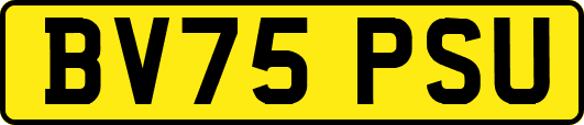 BV75PSU