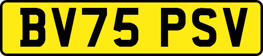 BV75PSV