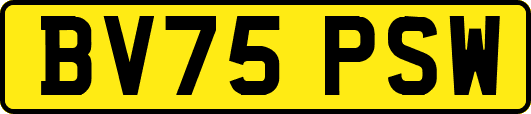 BV75PSW