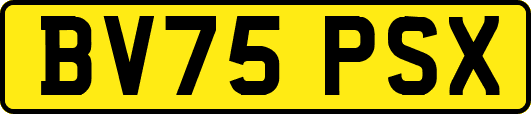 BV75PSX