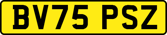BV75PSZ