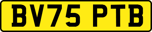 BV75PTB