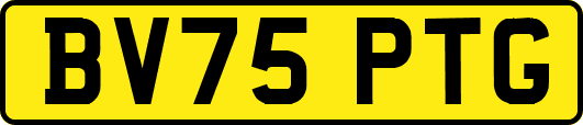 BV75PTG