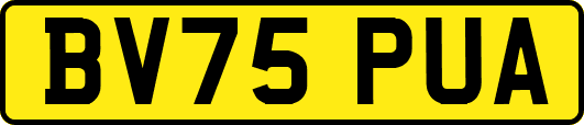 BV75PUA