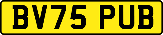 BV75PUB