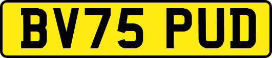 BV75PUD