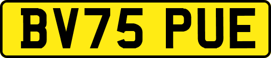 BV75PUE