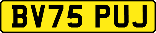 BV75PUJ