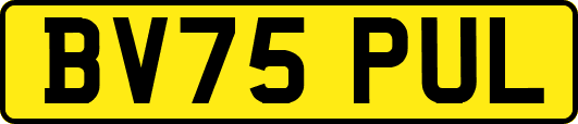 BV75PUL