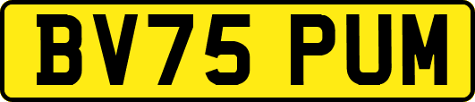 BV75PUM