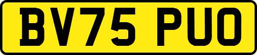 BV75PUO