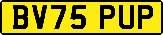 BV75PUP