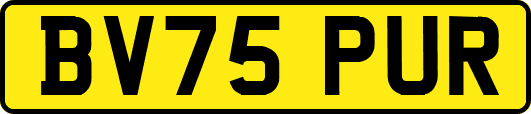 BV75PUR