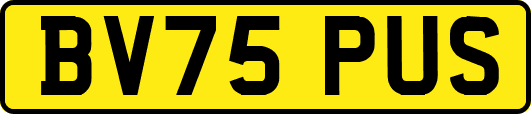 BV75PUS