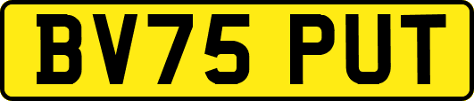 BV75PUT