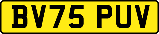 BV75PUV