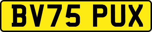 BV75PUX