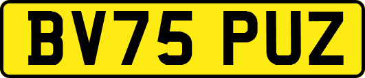 BV75PUZ