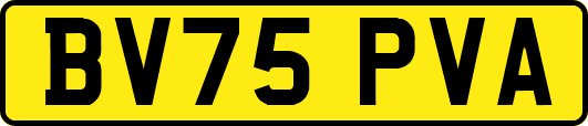 BV75PVA