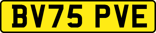 BV75PVE