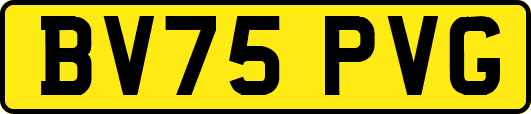 BV75PVG