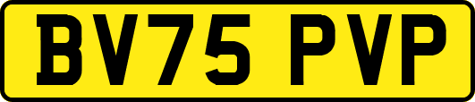 BV75PVP