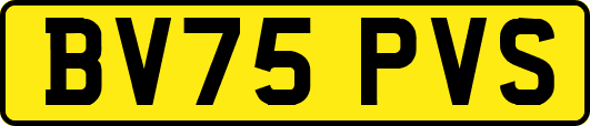 BV75PVS